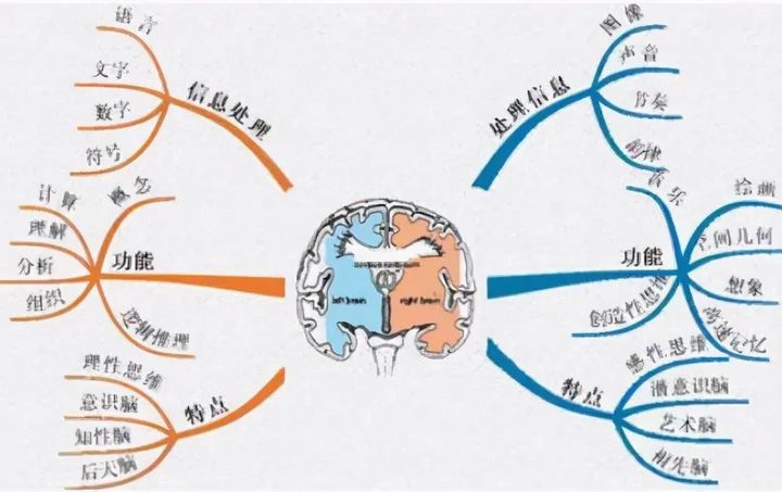 麻省理工最新研究：父母多和娃聊天，能让大脑发育更好，更聪明
